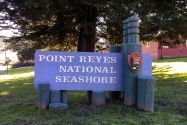 Point Reyes NS CA