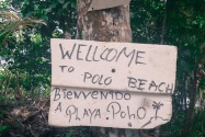 Polo Beach Bocas