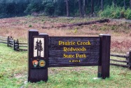 Prairie Creek State Park CA