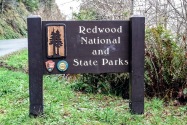 Redwood National & State Parks CA