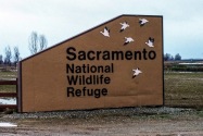 Sacramento National Wildlife Refuge CA