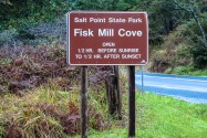Salt Point CA