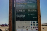 San Ignacio Lagoon, Mexico