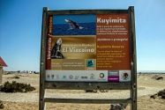 San Ignacio Lagoon, Mexico