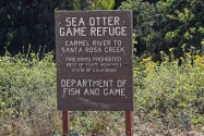 Sea Otter Refuge, CA