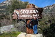 Sequoia NP CA