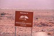 Sossusvlei-Namib Landscape