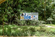 Tena, Ecuadorian Amazon