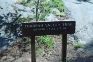 Tokopah Falls CA