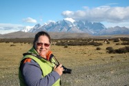 52-torresdelpaine