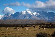 54-torresdelpaine