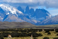 63-torresdelpaine
