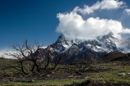 65-torresdelpaine