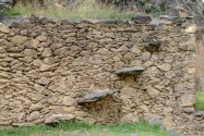 41-Ollantaytambo