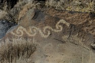Petroglyph NM, NM