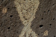 Petroglyph NM, NM