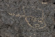 Petroglyph NM, NM