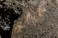Petroglyph NM, NM