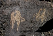 Petroglyph NM, NM