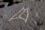 Petroglyph NM, NM