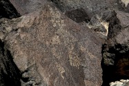 Petroglyph NM, NM
