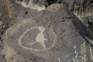 Petroglyph NM, NM
