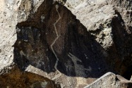 Petroglyph NM, NM