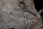 Petroglyph NM, NM