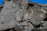 Petroglyph NM, NM