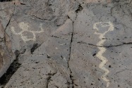 Petroglyph NM, NM