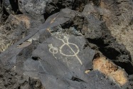 Petroglyph NM, NM