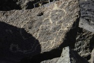 Petroglyph NM, NM