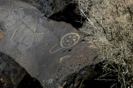 Petroglyph NM, NM