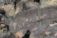 Petroglyph NM, NM