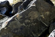 Petroglyph NM, NM