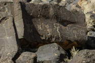 Petroglyph NM, NM