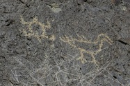 Petroglyph NM, NM