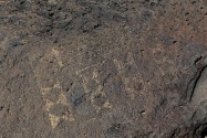 Petroglyph NM, NM