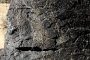 Petroglyph NM, NM