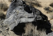 Petroglyph NM, NM