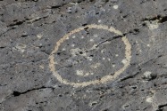 Petroglyph NM, NM