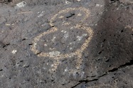 Petroglyph NM, NM
