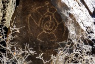 Petroglyph NM, NM
