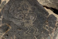 Petroglyph NM, NM