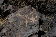 Petroglyph NM, NM