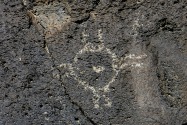 Petroglyph NM, NM