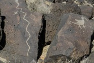 Petroglyph NM, NM