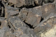 Petroglyph NM, NM