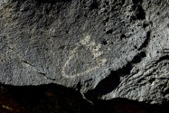 Petroglyph NM, NM