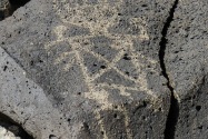 Petroglyph NM, NM